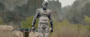 Especies complementarias