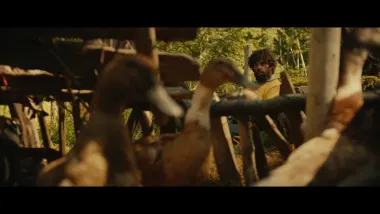 12 chicas enfadadas y 1 Travis borracho