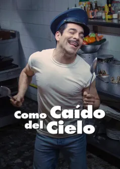 Como caído del cielo