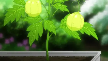 Kinokoinu Goes to the Beach