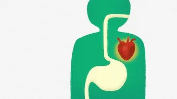 Por qué no funcionan las dietas