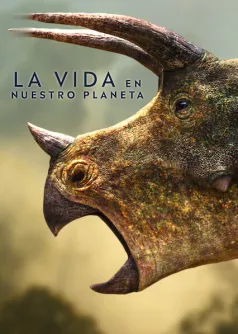 La vida en nuestro planeta