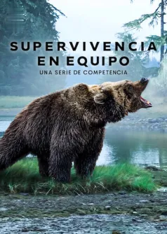 Supervivencia en equipo