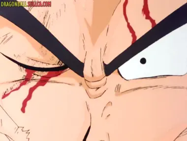 ¡Derrotad al invencible Vegeta! Obra un milagro, Son Gohan