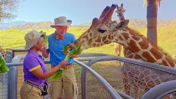 Guardias del zoológico
