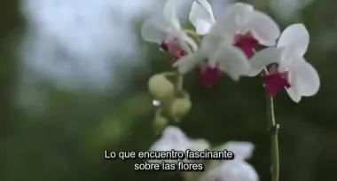 Mujeres de vida alegre