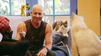 El apartamento de lujo, la casa de los gatos, el sueño de los fans del hockey