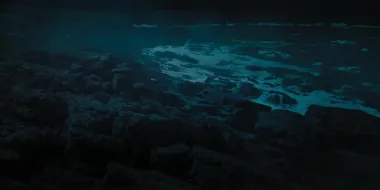 Número 2 con una bala