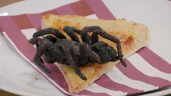 Un lobo entre las águilas