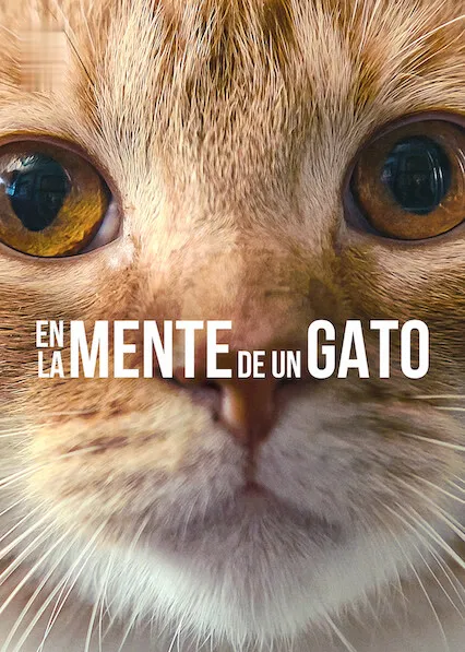 En la mente de un gato