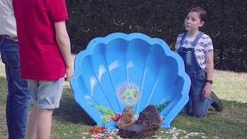 El caso de la pintura sorprendente / El caso del ladrón de tortugas