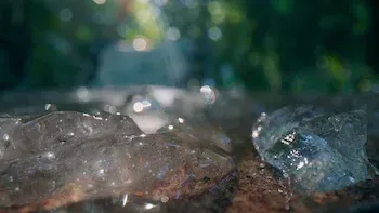 Archivo: La extraña gelatina que cayó sobre Washington