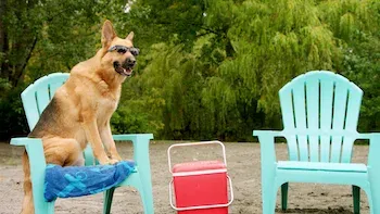 ¿Quién necesita humanos?