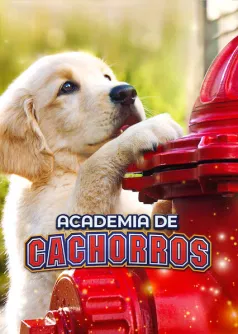Academia de cachorros