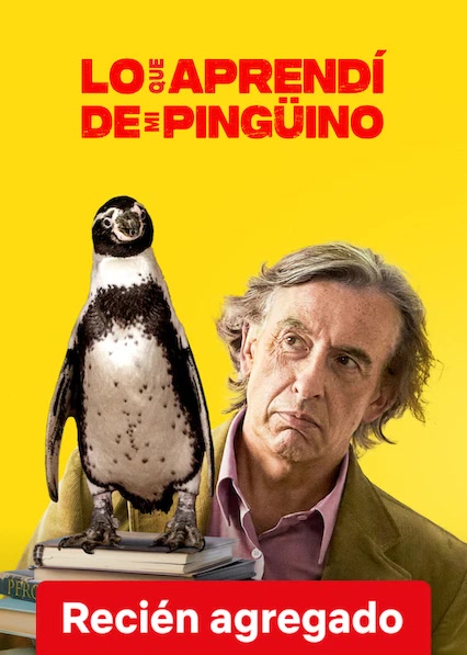 Lo que aprendí de mi pingüino