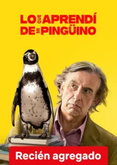 Lo que aprendí de mi pingüino