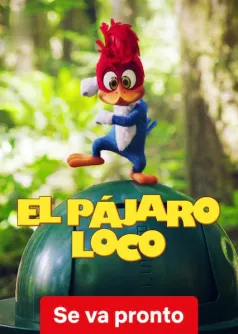 El Pájaro Loco