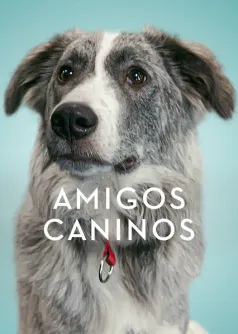 Amigos caninos