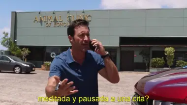 Pequeña es la flor, pero perfuma la hierba que la rodea