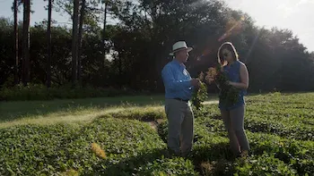 El problema del maní