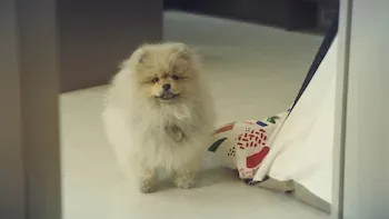 Algún día, gracias a ti