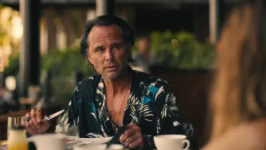 Te escondes o buscas