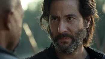 Términos y condiciones