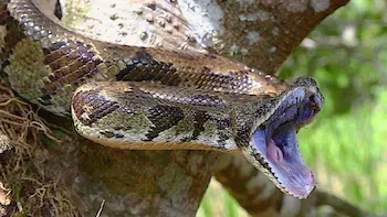 Asesinos al instante