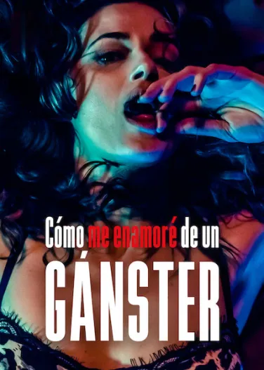 Cómo me enamoré de un gánster