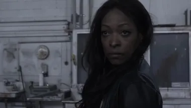 La historia de Doc's Stoned