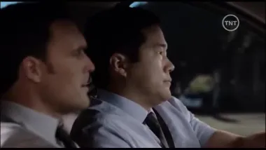 Pájaro rojo con alas negras