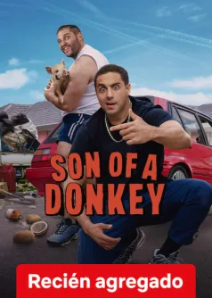 Son of a Donkey