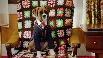 Háblanos sobre tu humano