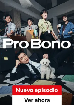Pro bono