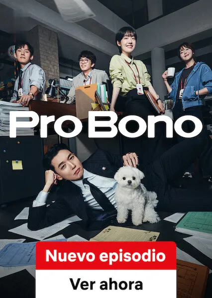 Pro bono