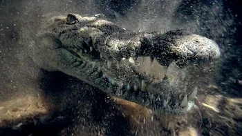 Nuestro conteo final