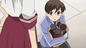 A Challenge from Lobelia Girls' Academy!