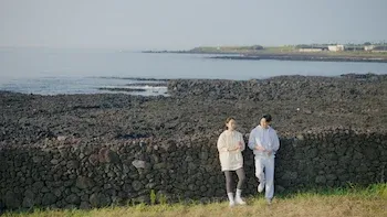 La lluvia de los helechos de Jeju