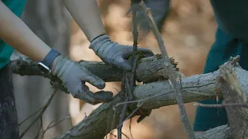 Las guerreras expertas