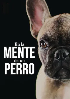En la mente de un perro