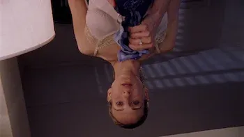 Perros viejos, p**es nuevos