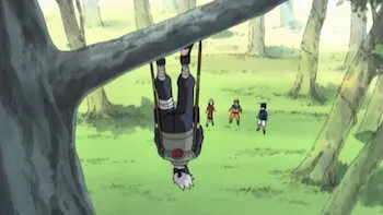 The Forest of Chakra