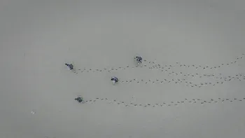 Tengamos fe en nuestra fuerza