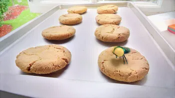 Galletas muy calientes / El gran chirrido / La araña saltarina