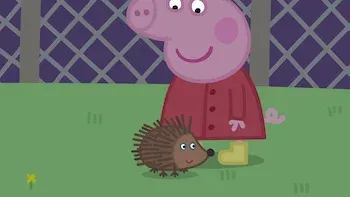 Animales nocturnos / Vacaciones / La casa de verano / Vacaciones en el sol