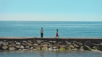 ¿Yo soy la mariposa o la mariposa soy yo?