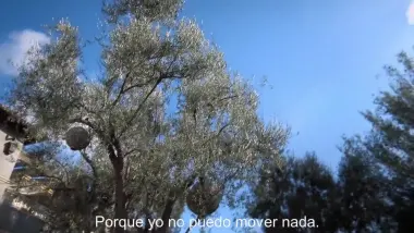 Bienvenidos a mi mente