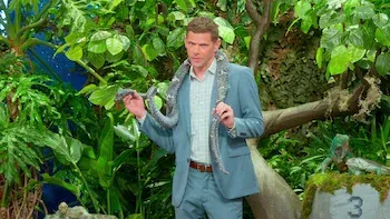 Bienvenidos a la jungla