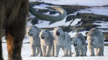 Capítulo 8: La Edad de Hielo y Fuego